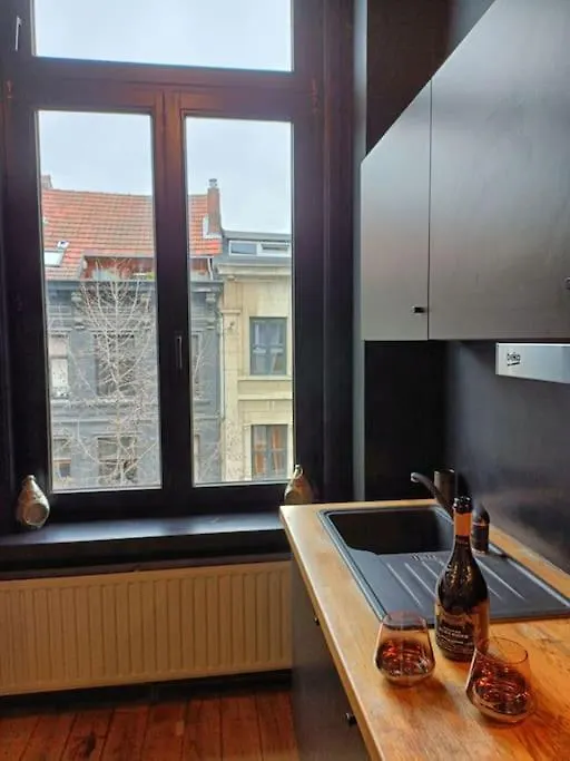 Modern App W. Authentic Features Apartment Antwerp